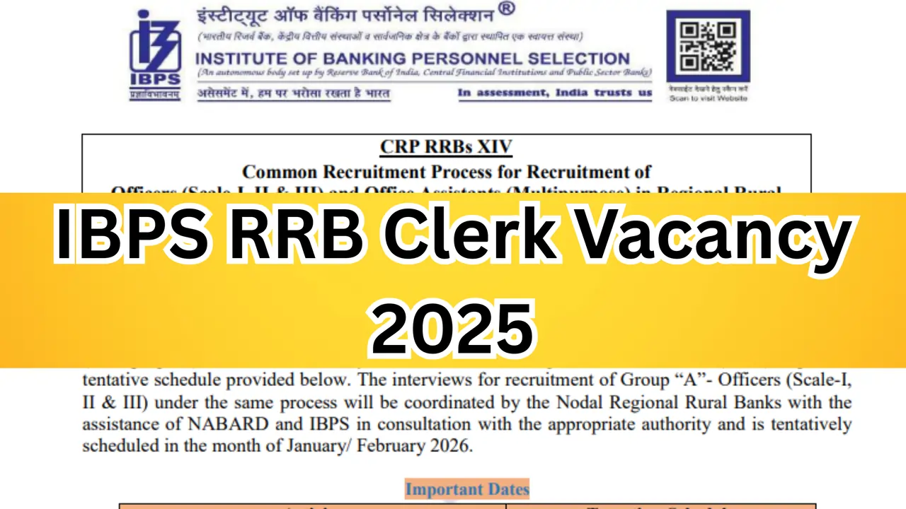 IBPS RRB Clerk Vacancy 2025