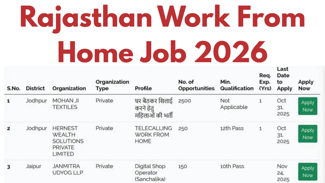 Rajasthan Work From Home Job 2026